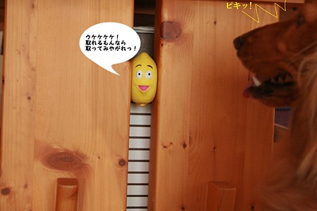生意気なレモン 1