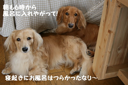 文句タラタラ~