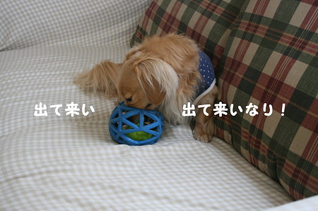 取れない・・2