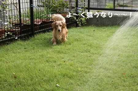 水遊び 1