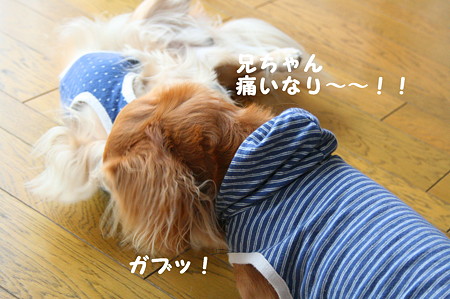 叱られ中 5