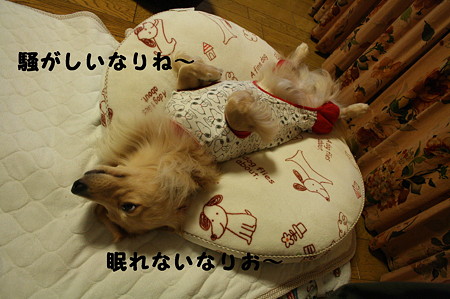 眠れない 1