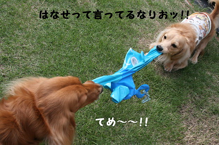 だっこちゃん 9