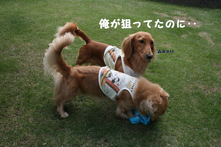 だっこちゃん 5
