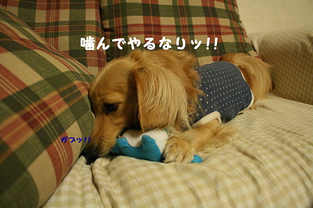 摩耶のおもちゃ5