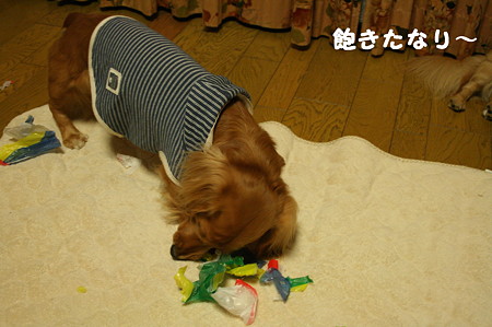 紙風船7