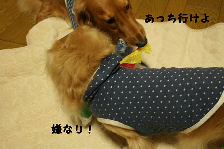 紙風船5