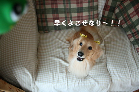 おNEW おもちゃ♪