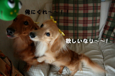 おNEW おもちゃ♪