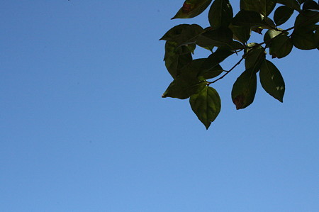 空