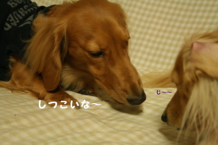 おやつ 4