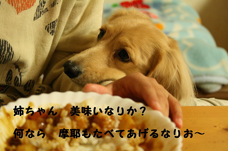 カレー 2