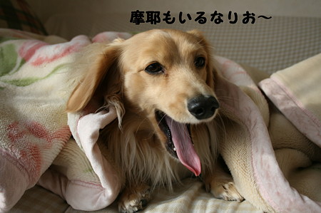 寝起き 5