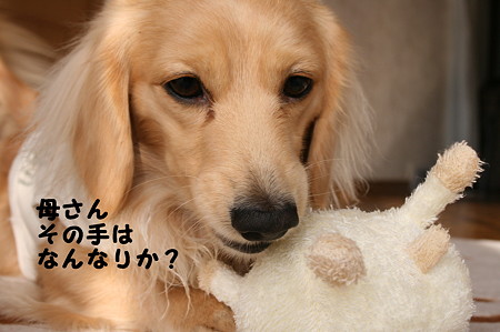 俺のおもちゃ 9