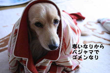 摩耶2