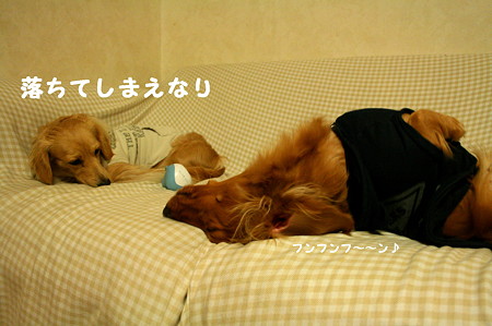 東矢くんと摩耶さん3