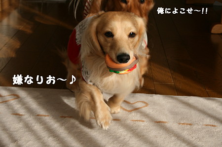 東矢くんと摩耶さん7