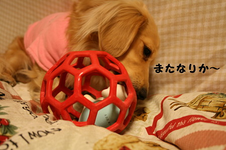 摩耶さん 1