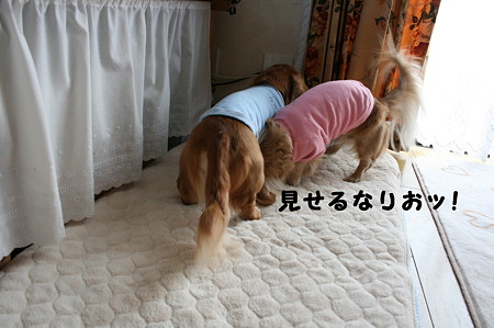 東矢くんと摩耶さん3