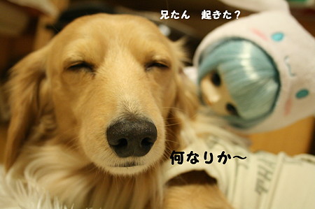 摩耶さんとシナモン 3