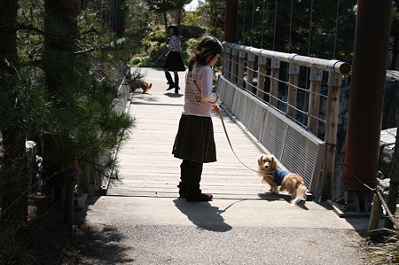 ドキドキの橋