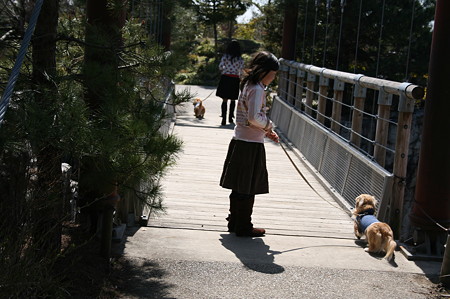 ドキドキの橋