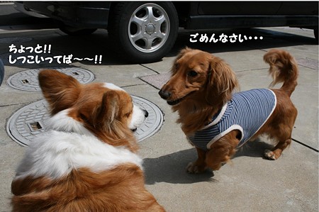 はじめまして~れーちゃん♪