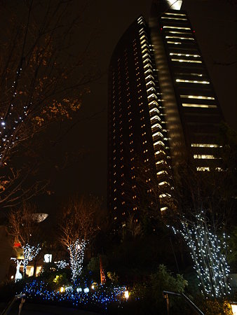 20081216_05