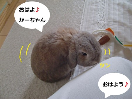 朝2