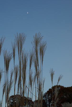 20081206_155448_0