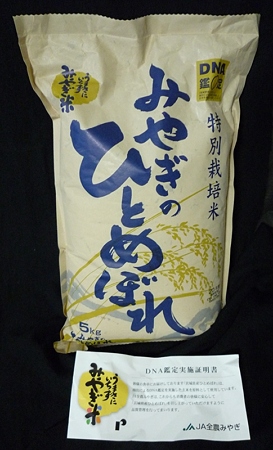 ひとめぼれ