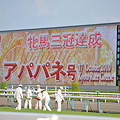2010年10月17日京都競馬場（秋華賞）