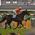 2011年11月13日京都競馬場(エリザベス女王杯)