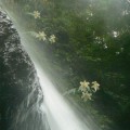 Photos: P1220928滝つぼ近くから撮影～濡れる～